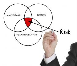 evaluare risc